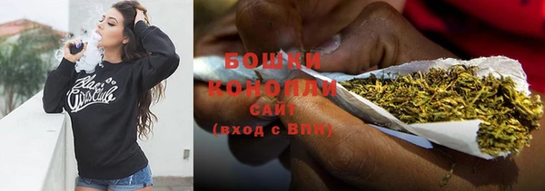 бошки Аркадак