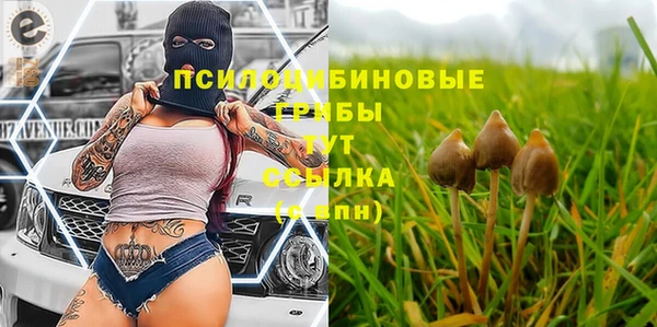 бошки Аркадак