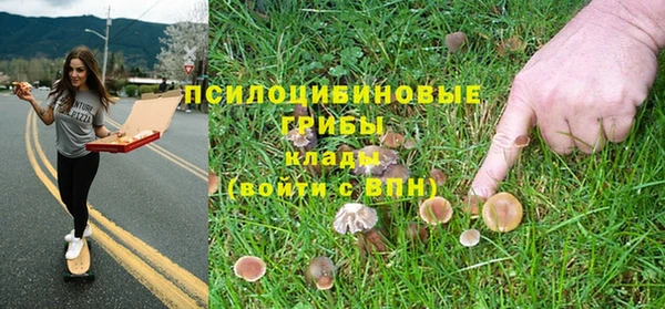 бошки Аркадак