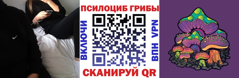 Галлюциногенные грибы MAGIC MUSHROOMS  где купить наркоту  KRAKEN   Полесск 